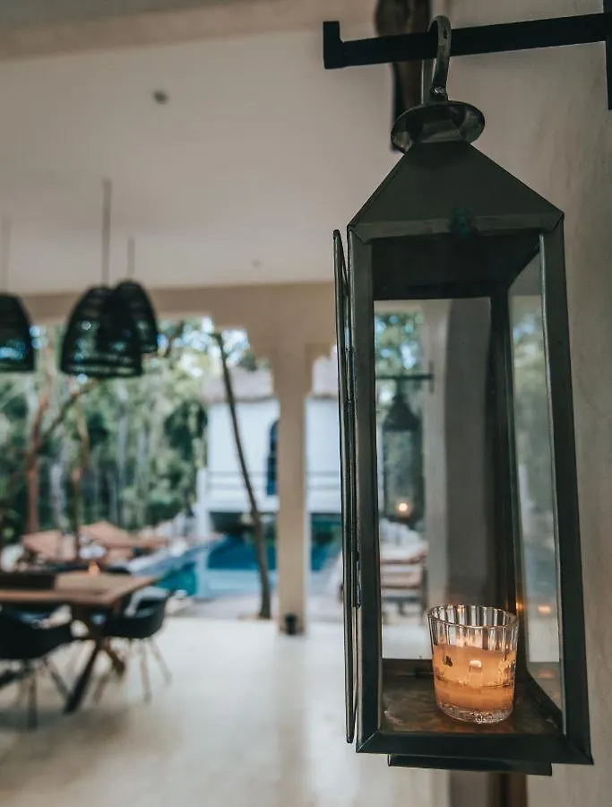 Ambre & Epices Jungle Hotel & Spa Tulum